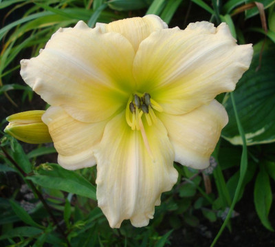 k-DSC07764.JPG