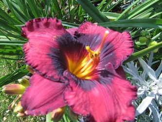 IMG_4879.JPG