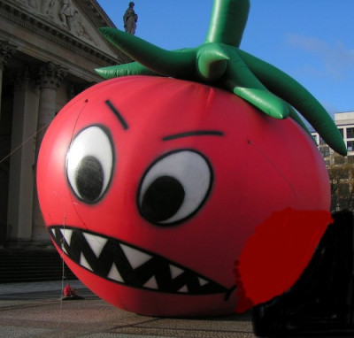 tomate1_gross.jpg
