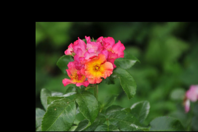2013-07-10_Pretty_Sunrise.jpg