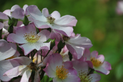 2013-07-07_Lyda.jpg