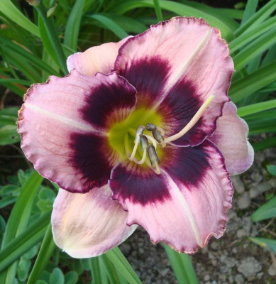 k-DSC08022.JPG