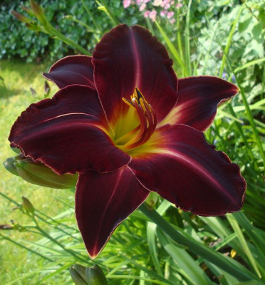 k-DSC08062.JPG