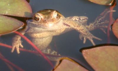 k-DSC08222.JPG