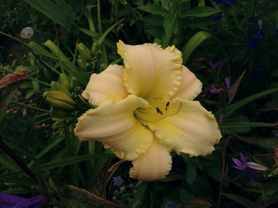 august-frost_20130714_zg1.jpg