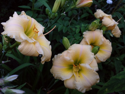 yamashita_20130712_zg.jpg