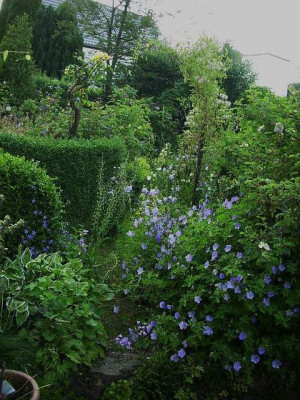 gartenweg.jpg
