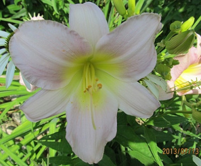 IMG_2909_small.JPG