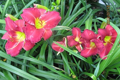 IMG_2884_small.jpg
