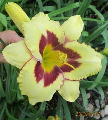 IMG_2977_small.JPG