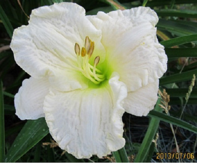 IMG_2778_small.JPG