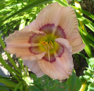 k-DSC08732.JPG