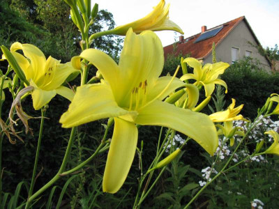 Hem_Feierabend_130719.jpg
