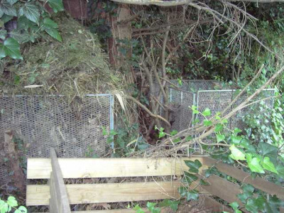 PICT8395-002.JPG