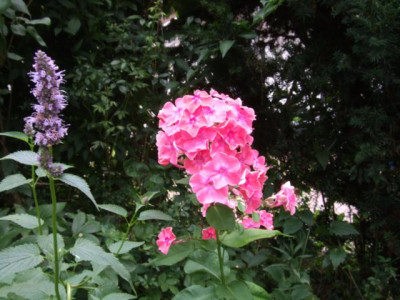 DSCF1124.JPG