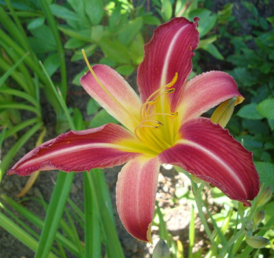 k-DSC08990.JPG