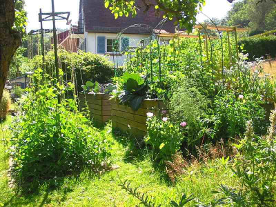 Gemusegarten_21.07.13.jpg