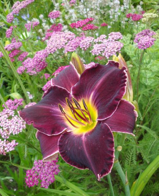 k-DSC09555.JPG