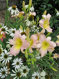 IMG_3132_small.jpg