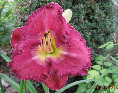 IMG_3093_small.jpg