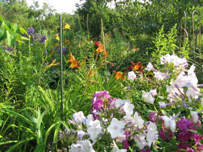 Kunterbunt_in_MGP_130727.jpg