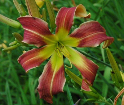 Julian_21_._07_._2013_009.jpg