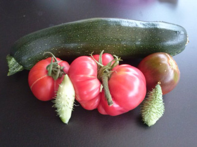Ernte28.07.13.jpg