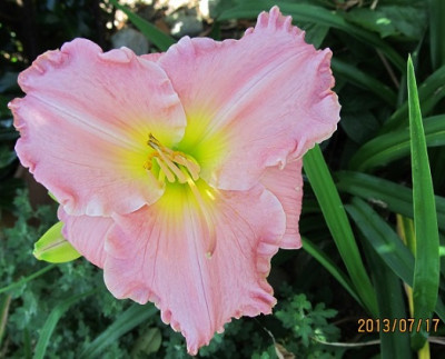 IMG_3033_small.JPG