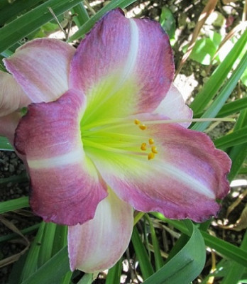 IMG_3046_small.jpg