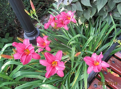 IMG_2931_small.JPG