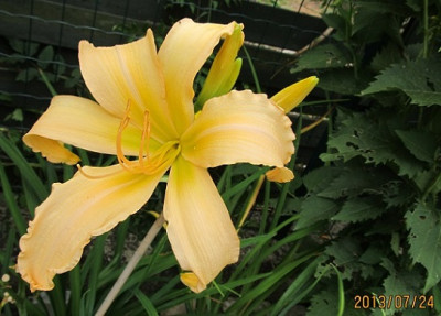IMG_3119_small.JPG