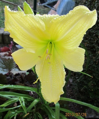 IMG_3151_small.JPG