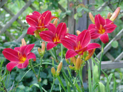 31.7.09_023.-kl.jpg