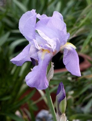 010_Large.jpg