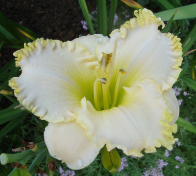 k-DSC00169.JPG
