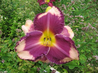 IMG_5598.JPG