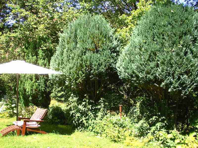 aufgeastet_Sonnenschirm_2013.jpg