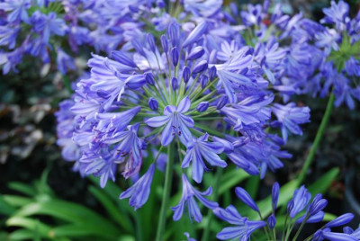 C8342_Small.JPG