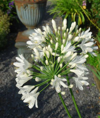 C8348a_Small.jpg