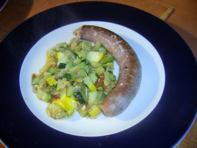 ZucchSalsbor.jpg