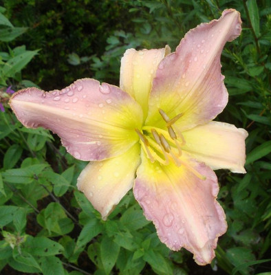 k-DSC00324.JPG