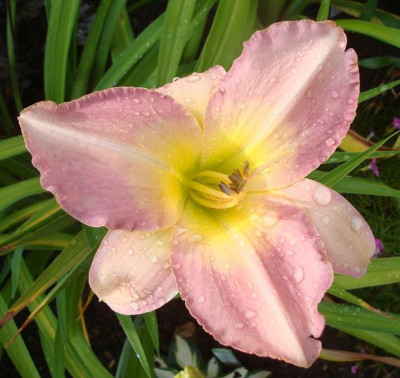 k-DSC00334.JPG