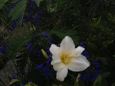 serene-madonna_20130801_zg.jpg