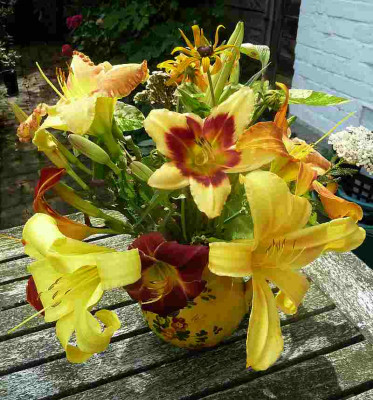 Taglilien_Blumenstrau_P10809711.jpg