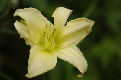 IMGP9288.jpg