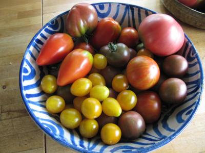 Tomaten_130805.jpg