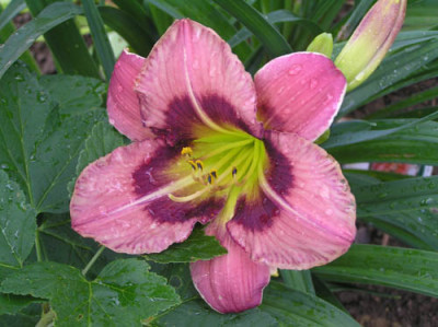 Unbekannte2005.jpg