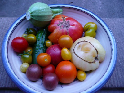 ernte_130810.jpg
