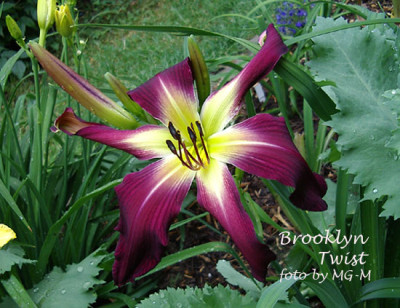 Imgp1371BrookTwist.jpg