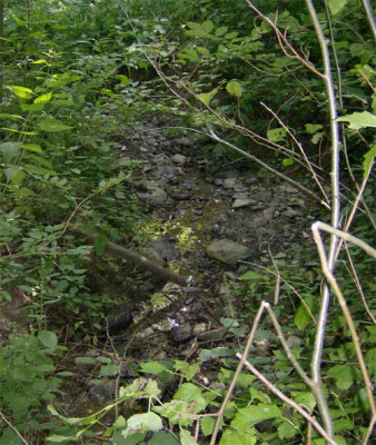 Waldbach-110813.jpg